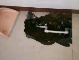 北京市卫生间测漏水多少钱